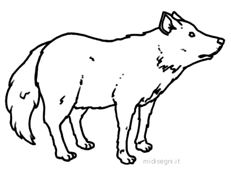 http://www.midisegni.it/disegni/fauna/lupo2.gif