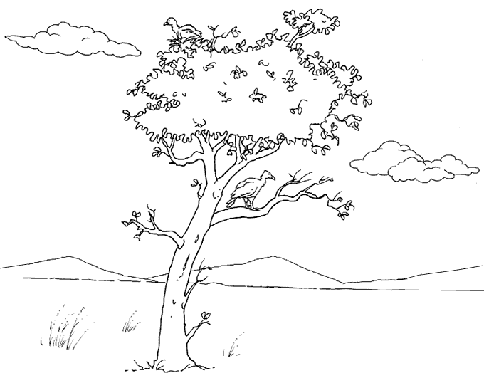 Disegni autunno da colorare e stampare Paesaggi da copiare