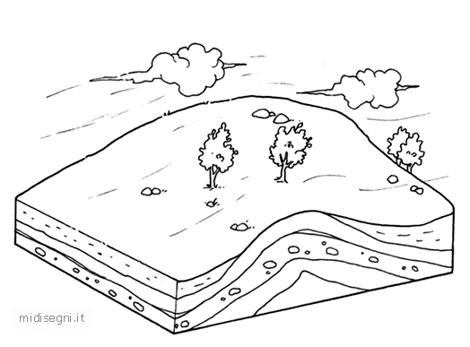 Flora E Fauna Della Collina Da Colorare