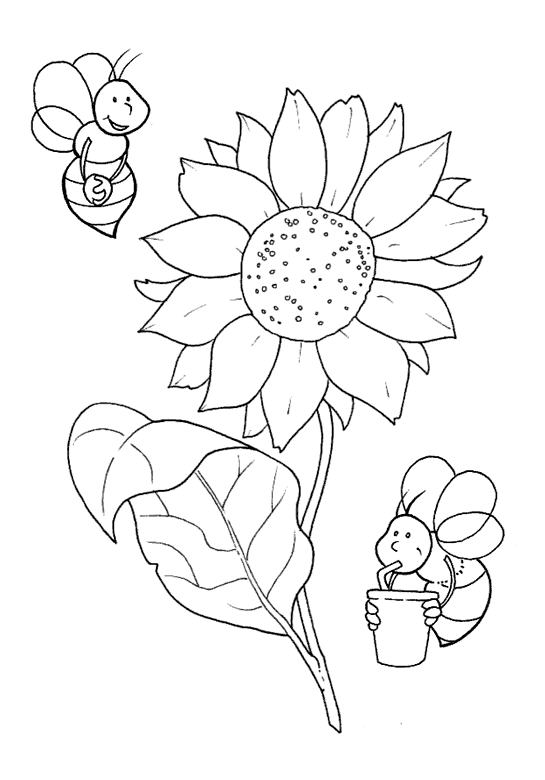 Disegno Di Un Girasole Da Colorare